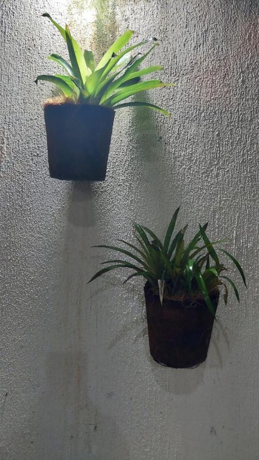 Pousada Vila Mar パラチ エクステリア 写真